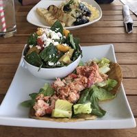 Vegetarian salad and Pescatarian meal at The Tuna Blue in Hubbards