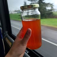 homemade lemonade (yes, it comes in this glass!) at Mama Dut in Portland