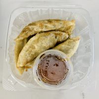 Gyozas at Kamakura Japanese Cuisine in Seattle