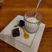 Gratis vegan ice cream dessert with the check at Don Sanchez in San Jose Del Cabo