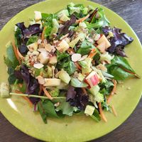 Robin Salad at Naturally Cafe in New Braunfels