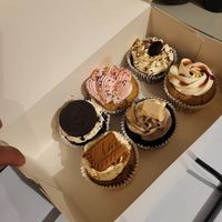 Selection of cupcakes at Vegan Funtastic in Julianadorp