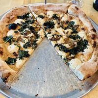 Truffle pizza  at Lucile Pizza & Wine Bar in Sarasota