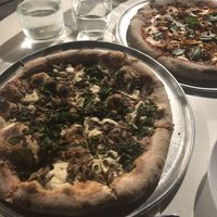 Truffled mushroom 🍄   at Lucile Pizza & Wine Bar in Sarasota