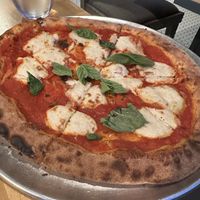   at Lucile Pizza & Wine Bar in Sarasota