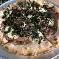 Truffle mushroom pizza  at Lucile Pizza & Wine Bar in Sarasota