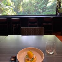 Coconut mango pudding  at Spirit House in Yandina