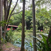 Gardens at Spirit House in Yandina