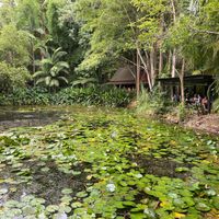 Gardens  at Spirit House in Yandina