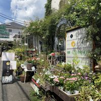 The entrance  at Rengetsutei in Tokyo
