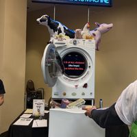   at San Francisco Vegan Society in San Francisco