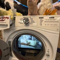   at San Francisco Vegan Society in San Francisco