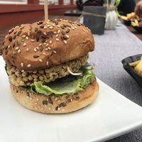   at Elbdorado in Neu Darchau