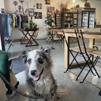   at The Green House in Oceanside