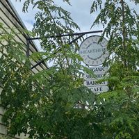 Hidden down a lane next to the pub at Hearth Fire Bakery in Bellingen