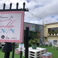 We sat in the corner, On outdoor cushions I recall from the 80s  . Often these places feel so fake but this was relaxing. I think it is because the staff are humble and warm.  at Twinkle Town  in Port Douglas