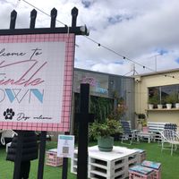 Very well arranged spaced out and relaxed.   at Twinkle Town  in Port Douglas