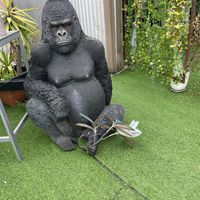 The courtyard  at Twinkle Town  in Port Douglas