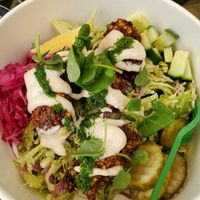 Falafel bowl at Twinkle Town  in Port Douglas