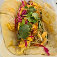  at Twinkle Town  in Port Douglas