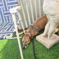  at Twinkle Town  in Port Douglas