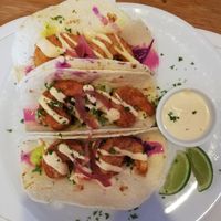 Taccos at Origin Cafe in Noord