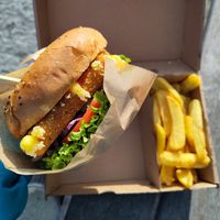 Fried cheese in a bun & french fries at Vegánsky Gazda in Trencin