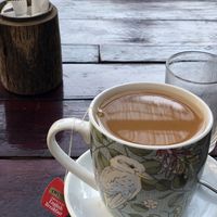 Tea with house made oat mylk  at Slam Dunk Sandwich Co in Siem Reap