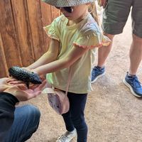  at Australian Wildlife Sanctuary in Bargo