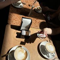   at Antico Caffè San Marco in Trieste