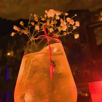 Cocktail! at La Santoria in Madrid