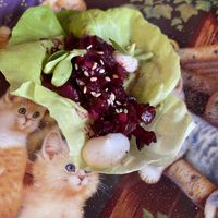   at Portobello Road in Whitby