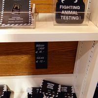 fight animal testing at LUSH in Vienna
