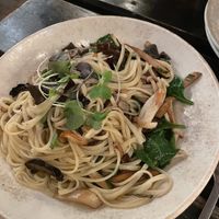   at Ilali in Wilderness