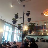 Interior at Peaches Gastro Girls in Warsaw