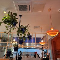  at Peaches Gastro Girls in Warsaw