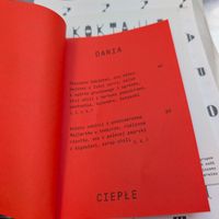 menu at Peaches Gastro Girls in Warsaw