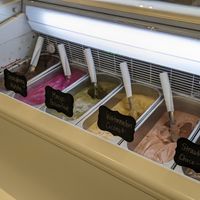 Vegan smoothie bases at Cornercove in Central Singapore