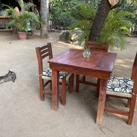 Relaxing places to sit in the shady courtyard.  Friendly cats and an occasional iguana. Great place for breakfast and lunch!  at Cafe Corazon in Troncones