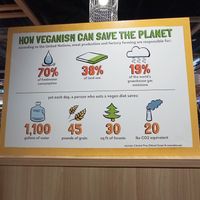 So true at iVegan 爱素 - Thomson Plaza in Central Singapore