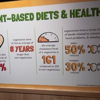 Agree 💯 at iVegan 爱素 - Thomson Plaza in Central Singapore