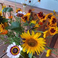  at De Groene Gevel in Woerdense Verlaat