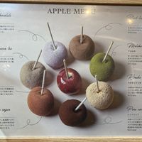 Menu (everything vegan except Yogurt Chocolate) at Candy Apple in Yokohama