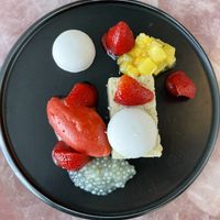 Coconut  at Faro in Berriedale