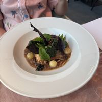 MEAT IS MURDER
Ancient grain risotto, manchego cream, caramelised witlof, confit potato, fino & onion broth, Escabeche fergus mushroom, wakame sabayon, textures of green leaves, ko at Faro in Berriedale