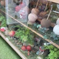 Case in the front at Candy Apple - Harajuku in Tokyo