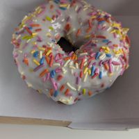  at The Donut GroVe in Orono