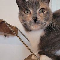 😻 at Gatorium in Quito