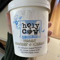Vegan cookies & cream at Holy Cow Ice Cream Cafe in Gloucester