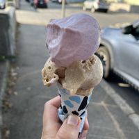   at Holy Cow Ice Cream Cafe in Gloucester